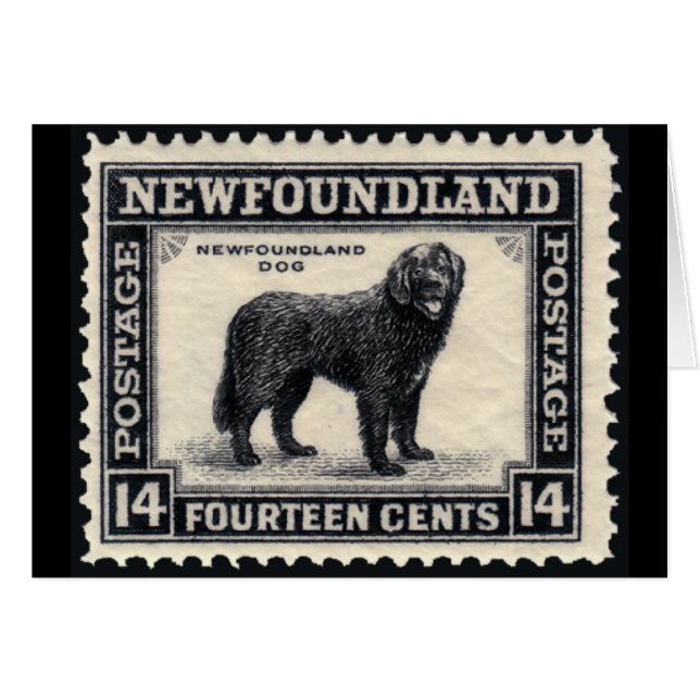 Newfoundland Dog Stamps Gifts (Front Horizontal)