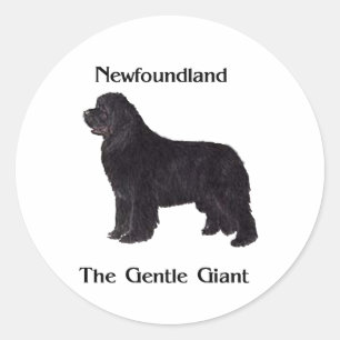 Newfoundland Dog The Gentle Giant Classic Round Sticker