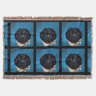 Newfoundland Dog               Throw Blanket