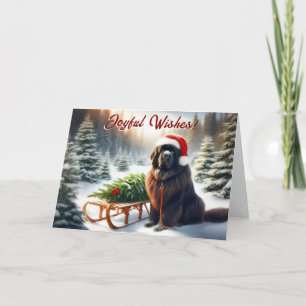 Newfoundland Dog Tree Pull Sled Christmas Card