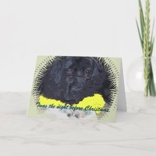 Newfoundland dog twas the night before Christmas Holiday Card