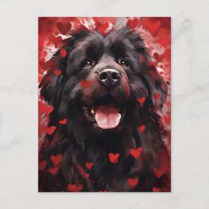 Newfoundland dog Valentines day Postcard