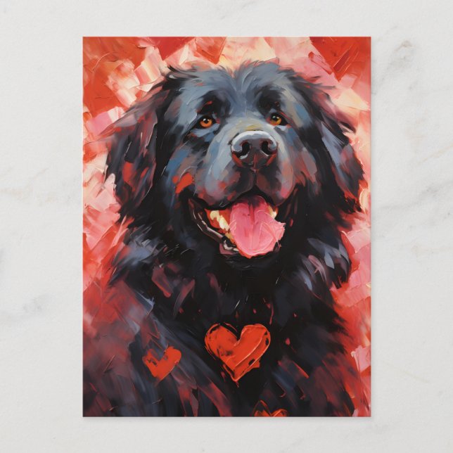 Newfoundland dog Valentines day Postcard (Front)