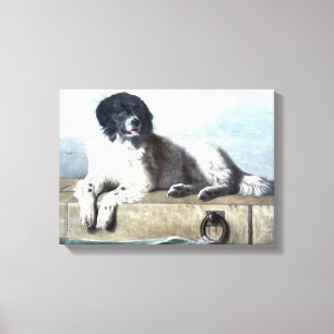 Newfoundland Dog Vintage Painting Canvas Print