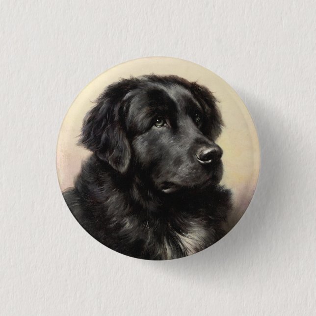 Newfoundland dog vintage realistic paint 3 cm round badge (Front)