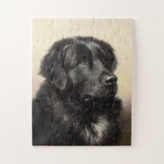 Newfoundland dog vintage realistic paint jigsaw puzzle
