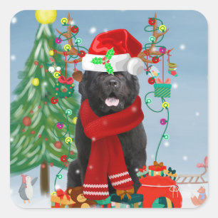 Newfoundland dog with Christmas gifts   Square Sticker