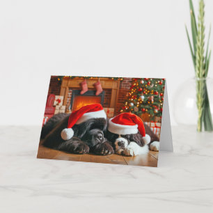 Newfoundland Dogs Asleep Christmas Card