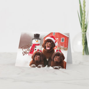 Newfoundland Dogs Brown, Snow Christmas Card