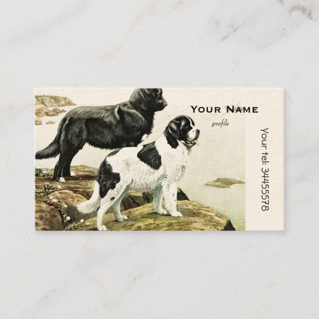 Newfoundland dogs business card (Front)