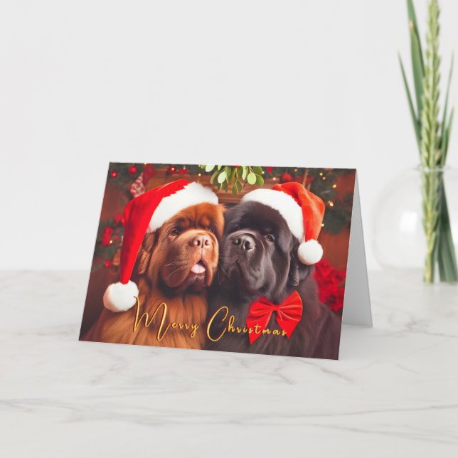 Newfoundland Dogs Cheek to Cheek Christmas Card (Front)