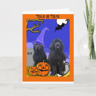 Newfoundland Dogs Halloween Card