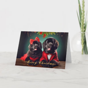 Newfoundland Dogs in a Christmas Pose Card
