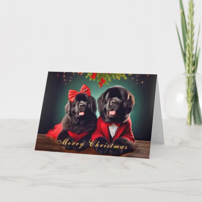 Newfoundland Dogs in a Christmas Pose Card (Front)