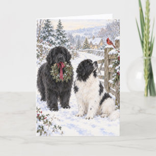 Newfoundland Dogs in a Winter Wonderland Card