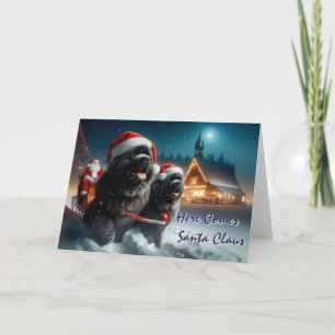 Newfoundland Dogs Pulling Santa's Sleigh Card