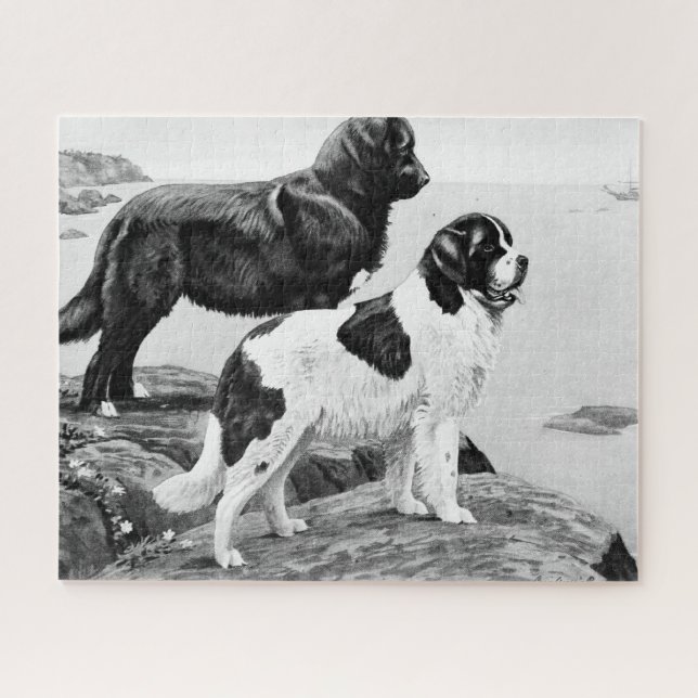Newfoundland dogs - vintage illustration  jigsaw p jigsaw puzzle (Horizontal)