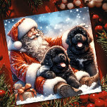 Newfoundland Dogs with Santa Claus Festive Holiday Card<br><div class="desc">Vintage style Christmas Santa with two beautiful Newfoundland Puppy Dogs Fantasy art holiday card.  Personalise this with your own message and family name to send out to friends and family for the holidays.</div>