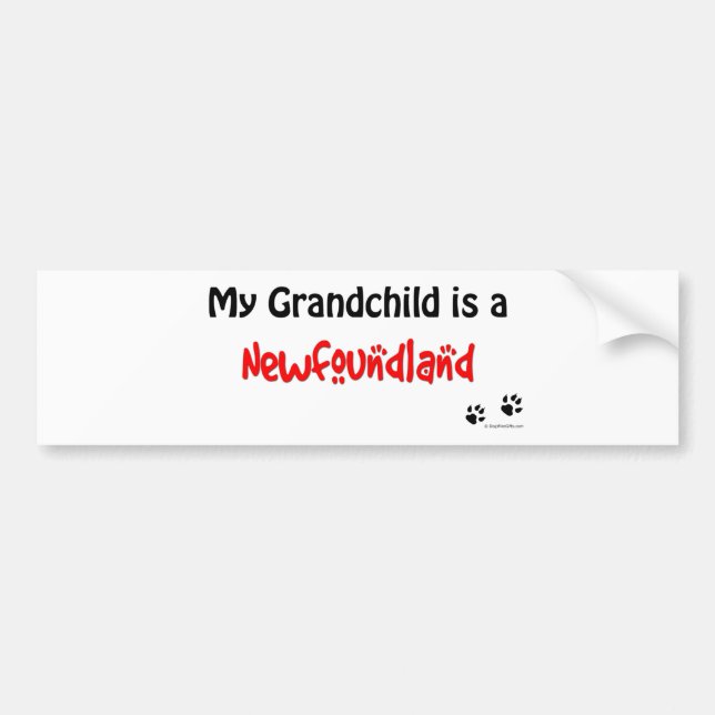 Newfoundland Grandchild Bumper Sticker (Front)