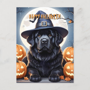 Newfoundland Halloween Postcard