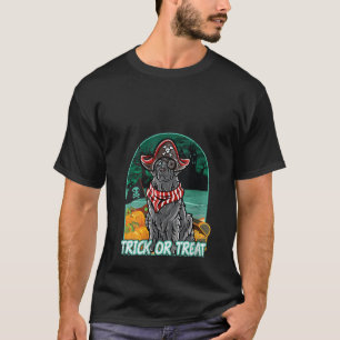 Newfoundland Happy Halloween Costume Pirate V Neck T-Shirt