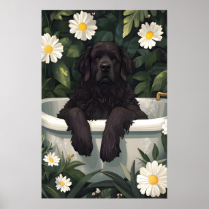 Newfoundland In Bathtub Poster, Funny Dog Poster