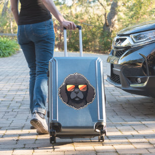 Newfoundland in Cool Sunglasses Classic T-Shirt