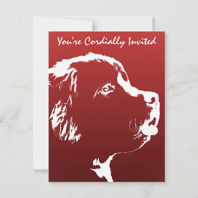 Newfoundland Invitations Personalise Dog RSVP Card (Front)