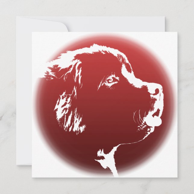 Newfoundland Invitations Personalised Dog Card (Front)