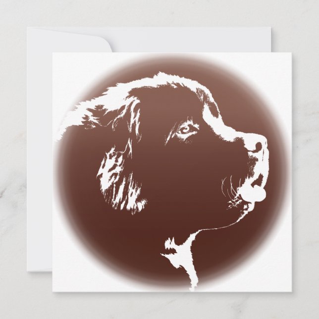 Newfoundland Invitations Personalised Dog Card (Front)