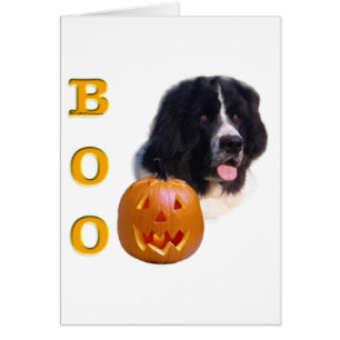 Newfoundland (landseer) Halloween Boo