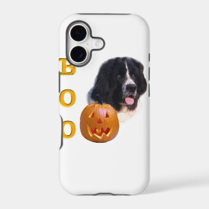 Newfoundland Landseer Halloween Boo
