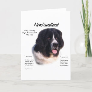Newfoundland (landseer) History Design Card