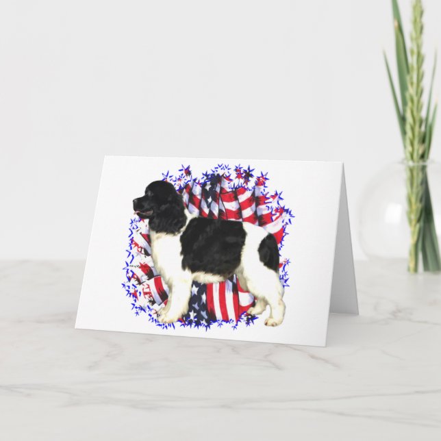 Newfoundland (landseer) Patriot Card (Front)