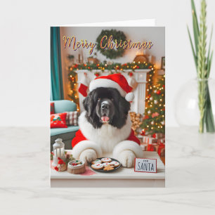 Newfoundland Landseer Placing Santa's Cookies Holiday Card