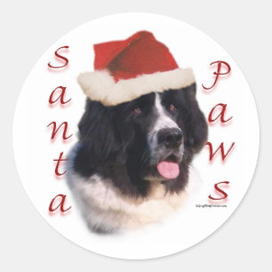Newfoundland (landseer) Santa Paws Classic Round Sticker