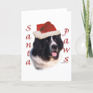 Newfoundland (landseer) Santa Paws Holiday Card