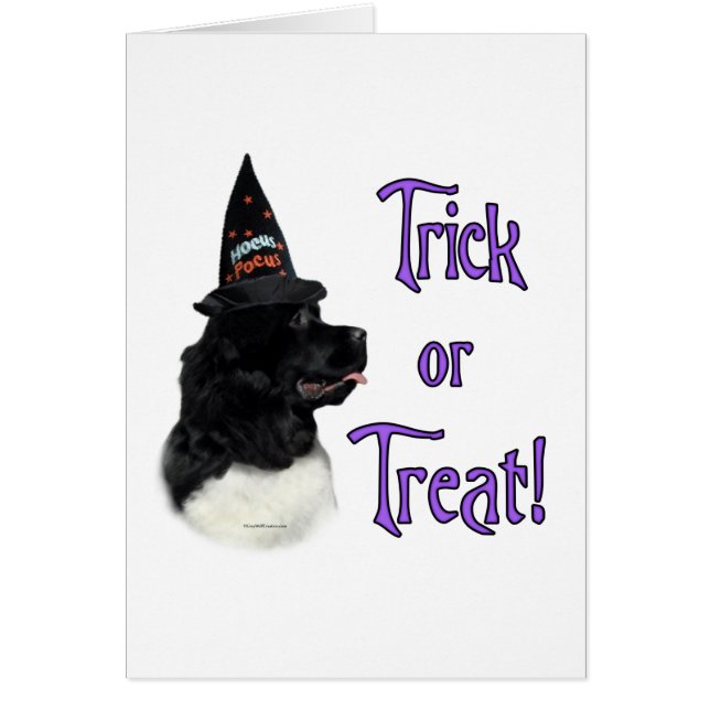 Newfoundland (landseer) Trick (Front)