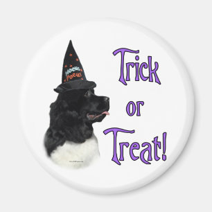 Newfoundland (landseer) Trick Magnet