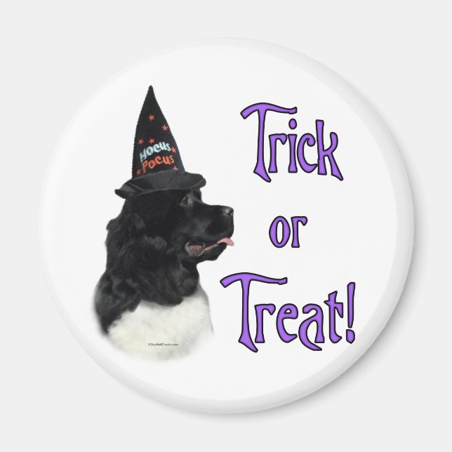 Newfoundland (landseer) Trick Magnet (Front)
