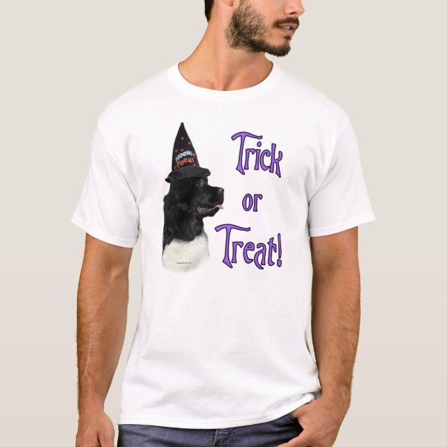Newfoundland (landseer) Trick T-Shirt (Front)