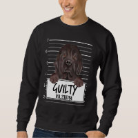 Newfoundland Mugshot Guilty Dog
