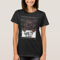 Newfoundland Mugshot Guilty Dog