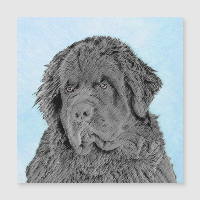 Newfoundland Painting - Cute Original Dog Art (Front)