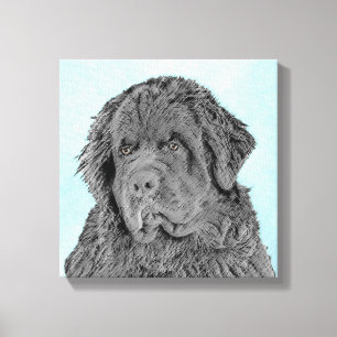 Newfoundland Painting - Cute Original Dog Art Canvas Print