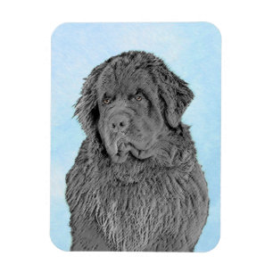Newfoundland Painting - Cute Original Dog Art Magnet