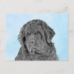 Newfoundland Painting - Cute Original Dog Art Postcard