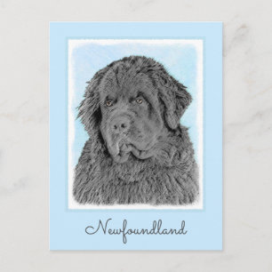 Newfoundland Painting - Cute Original Dog Art Postcard