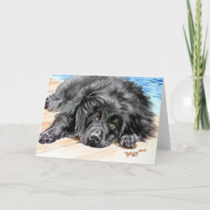 Newfoundland "Patience" Card
