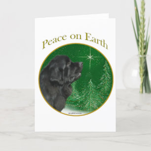 Newfoundland Peace Holiday Card